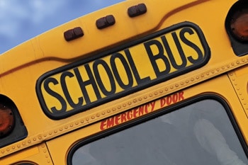 school bus  school bus transportation news