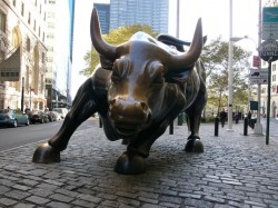 wall-street-bull-patrick-insider-trading-wkrb13-com=credit=posted-daily-business-news-mhpronews-com-
