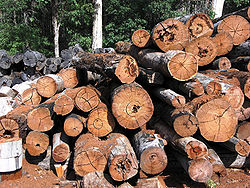 lumber   wikipedia