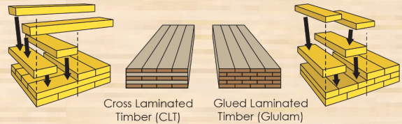 crosslaminatedtimberclt-creditresearchgate-postedmanufacturedmodularhousingindustrydailybusinessnewsmhpronews