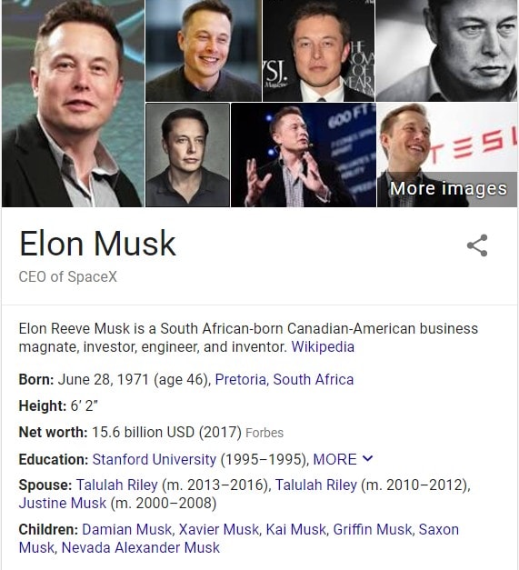 ElonMuskWikipediaSpaceXTeslaPostedDialyBusinessNewsManufacturedHousingIndustryProNews