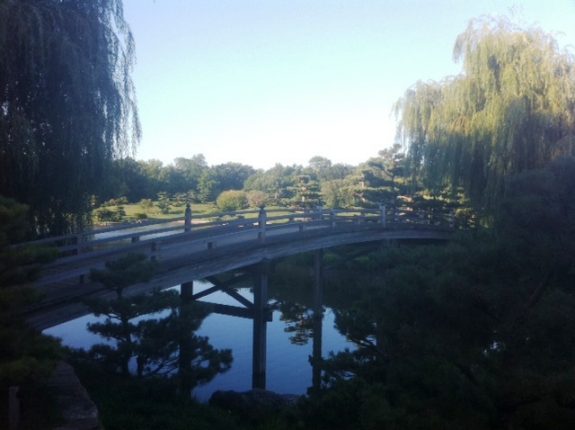 bridge in Chicago Botanic Garden, Japanese Islands