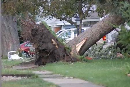 Uprooted tree in dwight il tornado caused more destruction to conventional construction than to mobile or manufactured homes x