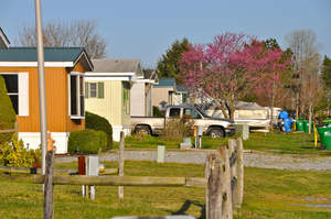 Rehoboth Shores near Long Neck delaware   ron MacArthur  cape gazette