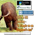 PimpleOnElephantsAssGSE-FHFA-ManufacturedHomeLending-MHProNews