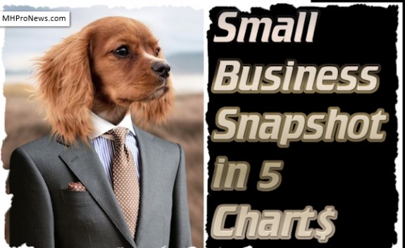 SmallBusinessSnapshotJune2017in5ChartsDailyBusinessNewsMarketReportDataResearchMHProNews