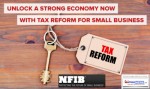 NFIBUnlockingStrongEconomyForSmallBusinessWithTaxReformJuanitaDugganDailyBusinessNewsMHProNews