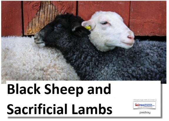 BlackSheepSacrificialLambsDailyBusinessNewsMHProNews