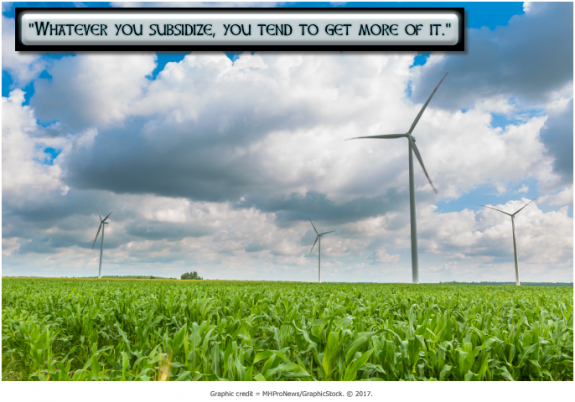 WhateverYouSubsidzeYouGetMoreOfIt-CornFieldsWindTurbinesMHProNewsGraphicsStock686x480-575x402