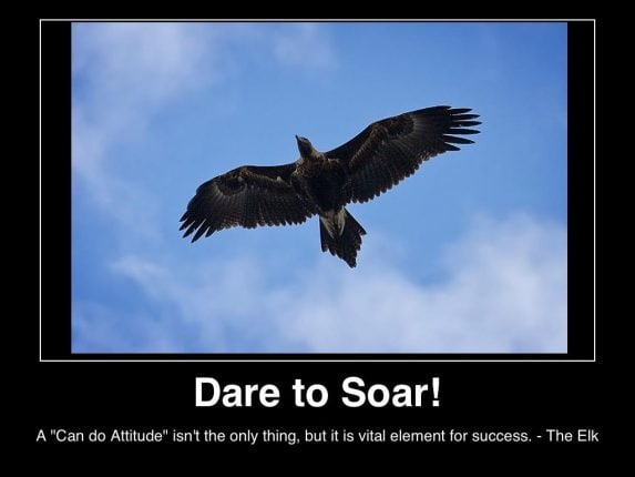 Dare to soar