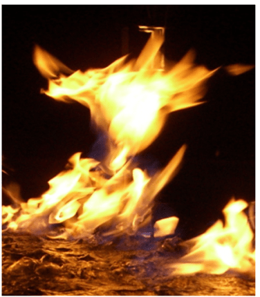 Phoenix rising flames mhpronews com credit flickrcc 
