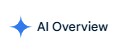 AI-OverViewAIPreviewGoogleScreenshot 2025-10-17 082433